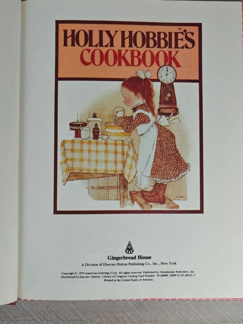 Holly Hobbies Cookbook Hardcover 1979 Illustrated Recipes For Kids